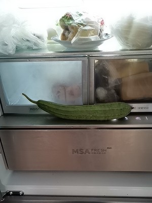 卡萨帝 BCD-500WDCTU1怎么样?用户反馈差不差