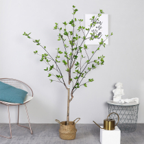 Nordic ins wind simulation plant decoration tree landing large fake green plant indoor living room Net red potted ornamental tree