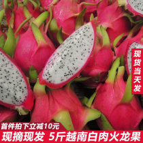 Vietnam imported white heart pitaya fresh 5kg tropical imported fruit White pitaya whole Box Wholesale