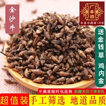 Jinsha beef 10g farmhouse self-produced ant lion land yak Chinese medicinal herbs without miscellaneous sunning with money grass chicken inner gold