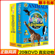 Babys animal world Encyclopedia Early childhood childrens popular science education Early education Cartoon video DVD disc disc