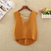 Sweater female Chic loose pullover vneck knitwear sleeveless sweet vest Joker student waistcoat