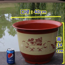 Preserved for aloe vera thick office small garden personality fruit tree outdoor money tree simple Villa