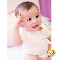 Cute male baby picture wall sticker big eye cute doll poster pregnancy prenatal education painting baby pictorial pregnancy preparation