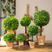 Nordic fake flower simulation plant small potted ins green plant ornaments living room window sill interior decorations bonsai