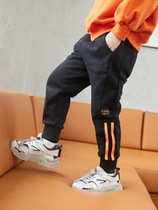Boy Pants Spring Autumn Season 2020 New Children Sports Pants Long Pants Han Edition Autumn Winter Tide CUHK Child New Pint Tide