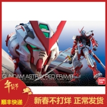 Bandai 61618 RG 19 1 144 Astray Red red heresy red confused up to 00634