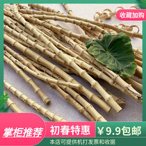 Rohan Bamboo Divide Courtyard Wall screen anti-corrosive white bamboo Rod Rod Kindergarten Material