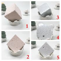 Buy 4 get 1 (Free Pet World) Totoro rabbit Dutch pig volcano standard molar stone multi size