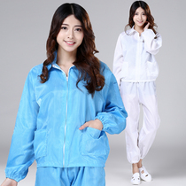 Antistatic split suit Dust-free Clothes Suit Blue White Zipper Short blouses Electronic factory Dust-proof male and female working clothes