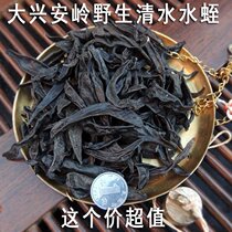 Such as fake package) New Wild Water small Leech 100g Japanese medical leech dry goods leech can be powder