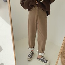 Zhou Wood Wood plus velvet casual pants female 2019 Winter Korean version of Joker composite velvet high waist black thick straight pants