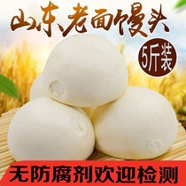 Shandong handmade steamed buns old noodles big bread breakfast buns frozen instant noodles unsweetened choking noodles original buns