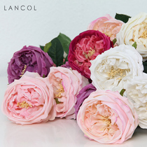 Lancol New European-style emulation florist hand feel moisturizing rose Austin Home Decorative Flowers Photography Table Fake Flowers