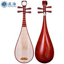 Beijing Xinghai Pipa 8911-2 African red sandalwood rosewood adult Pipa national string instrument 8D12-2