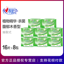 Heart Print Tea Series Wipes Adult Sanitary Cleaning Sterilization Wet Wipes Family Pack 8 Packs * 16 Tablets
