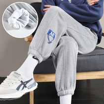 Gray velvet sweatpants womens loose toe trousers autumn and winter thickened casual Harlem pants students thin