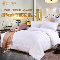 Five-star hotel hotel special quilt bedding Feather velvet quilt spring and autumn quilt thickened winter quilt core