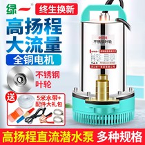 High lift DC submersible pump 12V24V48V60V volt household battery pump Electric vehicle agricultural pump