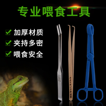 Reptile Turtle Feeding Tool Feeding Artifact Pet Feeding Appliance Bamboo Camphor Clip Cricket Wooden Spoon