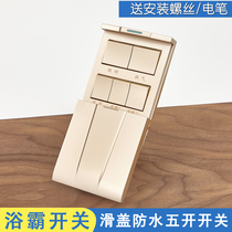 Slide Cover Bath Bully Switch Five Open Home Toilet Waterproof Switch Golden Bathroom Wind Warm Five All-in-one Switch