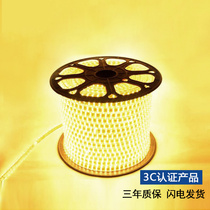 LED light strip colorful ceiling light tube outdoor living room ceiling light tube waterproof high light bIdCfhAIAbf