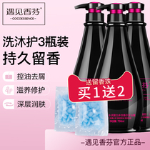 coco shampoo set Shower Gel Shampoo combination anti-dandruff wash hair care big bottle long lasting fragrance