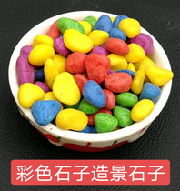 Making a view of the colorful pebble.