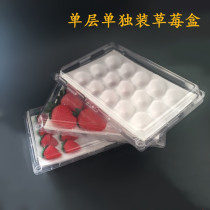 Single-layer strawberry packaging box with foam disposable transparent buckle individual particle packaging boutique strawberry gift box direct sales