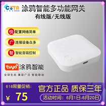 Graffiti Intelligent Multimode Gateway Multifunction ZigBee Bluetooth Mesh Home Device Remote Control Wired Wireless