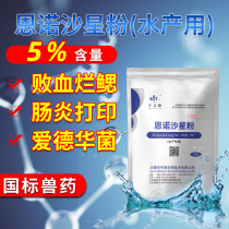 Enrofloxacin powder 5% aquatic fish Italy and no bleeding sepsis Gill print enteritis red fin disease aquarium