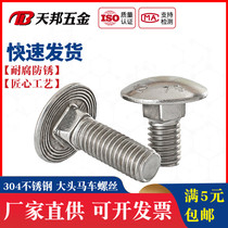 M6M8M10M12 304 stainless steel large half round head carriage bolt square neck screw rack screw flat head Square