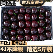 Car Centily Fresh Fruit 5 Catties Dalian Beauty Morning Great Cherry 10 When Season Full Box Gift Box 4j Pregnant Woman 3