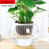 Hydroponic plant Planting Basket Solid Root Machine Plastic Basket Flower Fish Co-Raised Basket Glass Vase Fixed Planting Basket Gardening supplies