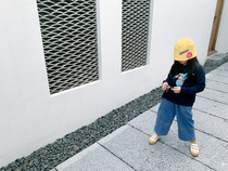 No to no retreat sweetcity Men and women Children and children Childrens Caoy Little Flying Elephant printed headsets