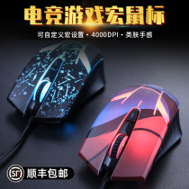  (SF)Daryou wrangler mouse EM902 e-sports backlight Computer game special macro mechanical chicken wired universal