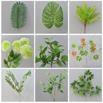 Wedding simulation plants flowers branches window photography decoration flower arrangement flower arrangement green leaves green leaves