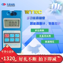 Wetter WT10C Digital High Scooters AC DC Magnetic Test Magnet Magnetic Field Tester Leftover magnetic flux meter