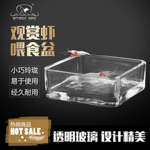 Australian octopus House aquatic tank ornamental shrimp feeding basin glass shrimp basin crystal shrimp fish tank pet shrimp feed basin