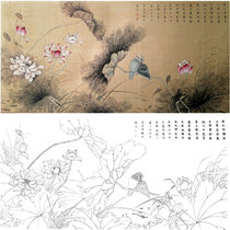 Meticulous painting line drawing flower and bird lotus flower Chu Yanchun retro style hook line physical printing draft size optional CY16
