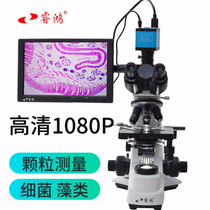 Ruihong professional binocular microscope BM-500T high power research display video biological powder particle measurement