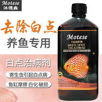 Fish tank fish medicine Mu Desen white spot cure agent parrot fish goldfish remove white spot albino damaged aquarium medicine
