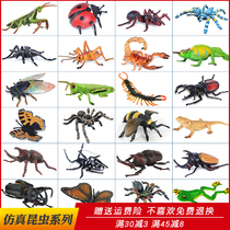 Simulation insect toy Animal model Bee know butterfly Grasshopper Mantis Ladybug Children cognitive gift