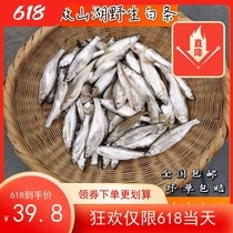 3 catties of fresh small and medium white freshwater fish wild small diaozi gag meal strips willow leaf specialty fresh and now kill hair