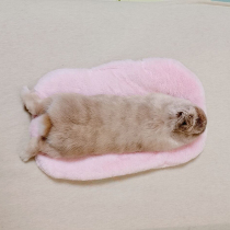 Rabbit Tail Cotton Nest Warm Cushion All Season Universal Warm Rabbit Guinea Pig Dutch Pig Home-and-mouse Cat to warm over the winter