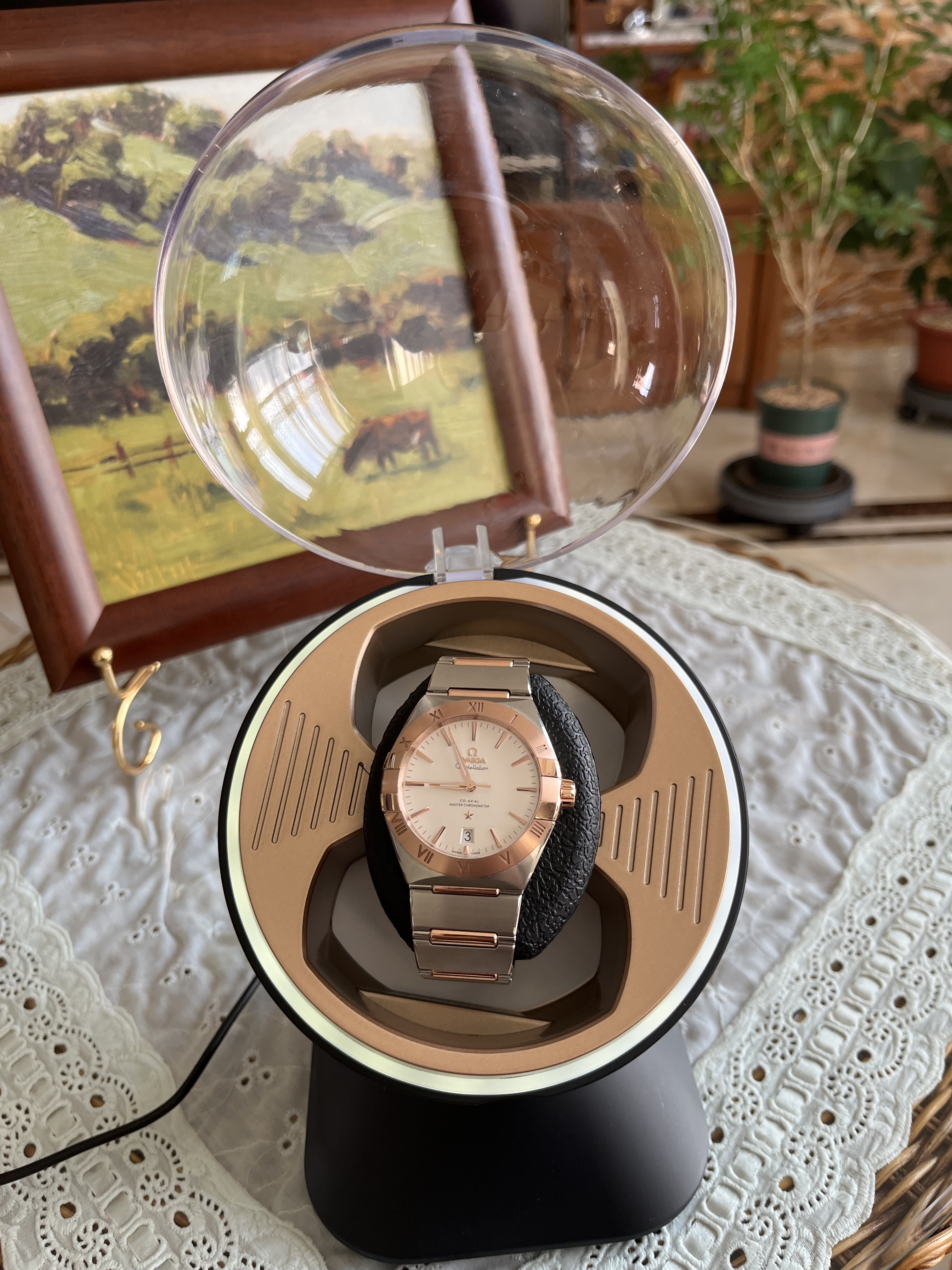 Auto Watch Winder Black photo review