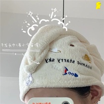 Dry hair hat female super absorbent bag head towel hat wash hair Korean quick dry hair towel shower cap cute Net Red
