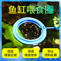 Feeder feeding ring anti-drifting tropical Peacock fish feeding ring water group fish fish food fish food feed pitcher