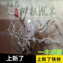 Boutique Immersive Wood Construction Wood Fish Tank Sink Wood Water Grass Treeking Wood Building Cuckoo root South American Scape Reptile