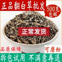Turn white grass Chinese herbal medicine Non-wild 500g Turned White Grass Tea Chinese Herbal Tea White Meadow Bone Leather non-Tongrentang